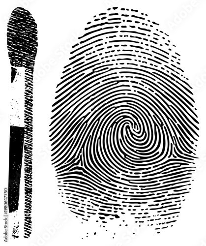 Unique fingerprint swirl design with textured brushstroke element, biometric identifier graphic, forensic science illustration, inked art, identity marker.