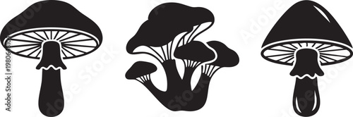 Black mushroom icons, fungi symbols, vector illustrations, edible plants