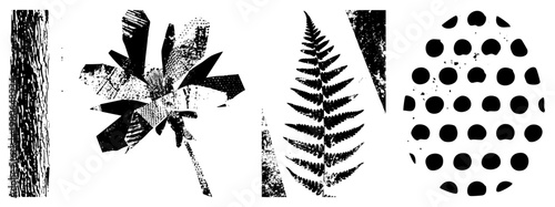 Abstract plant silhouettes with halftone shading, fern frond, leaf cluster, dotted sphere, bark texture, vector botanical motifs, isolated nature graphics.
