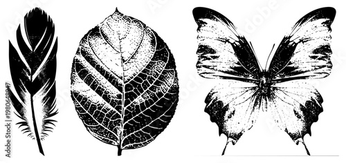 Classic halftone graphic featuring feather, leaf, and butterfly, art, nature motifs, vintage vector design, botanical and zoological silhouettes.