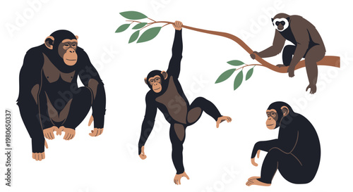 Set of different primate species including chimpanzees and a gibbon in various natural poses like sitting and swinging on branches.