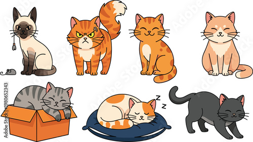 Japanese Language Learning Screen with Hiragana and Kanji Text on Digital Interface for Online Education, Study Materials, Translation Practice, and E Learning Concept.