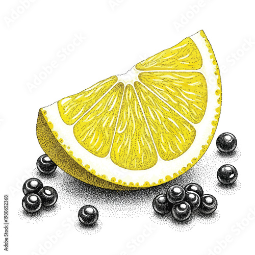 Fresh Lemon Slice with Berries on a White Background for Healthy Food and Refreshing Drinks
