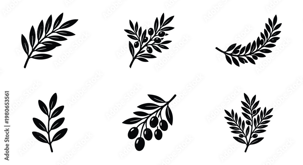 Fototapeta premium Vintage olive branch vector set, black botanical leaf icons, 6 organic olive sprig elements for logo design and food packaging labels