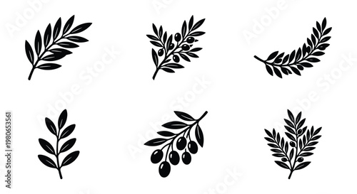 Vintage olive branch vector set, black botanical leaf icons, 6 organic olive sprig elements for logo design and food packaging labels