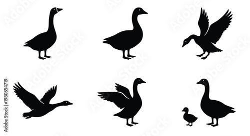 Goose silhouette vector collection, black waterfowl bird icons in various poses, flying and standing geese set for farm and nature design