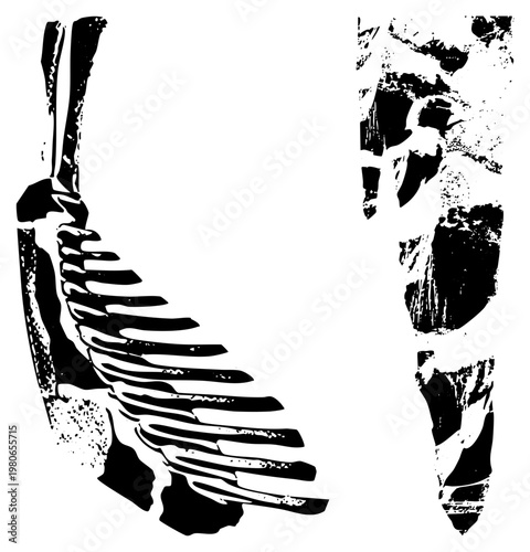 Graphic design of skeletal hand with wing like ribs, halftone texture, vector art, anatomical illustration, isolated silhouette, artistic interpretation of human anatomy.