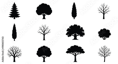 Black tree silhouettes set, collection of 12 forest and garden tree icons, minimalist nature vector elements for landscape design and architecture