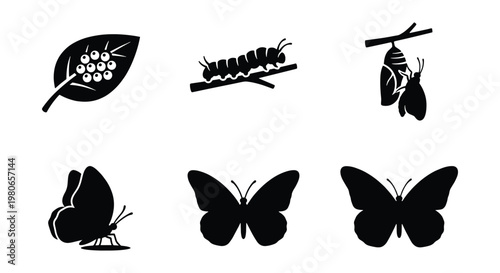 Butterfly life cycle icons set, black silhouette metamorphosis stages vector, caterpillar and chrysalis symbols, 6 nature growth elements
