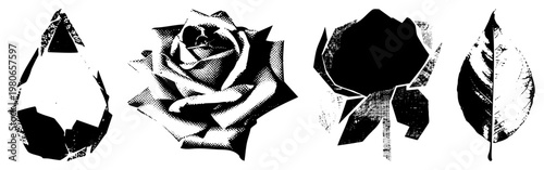 Abstract botanical shapes rendered with halftone and sharp geometric edges, including rose, leaf, and teardrop forms, ideal for graphic design or print.