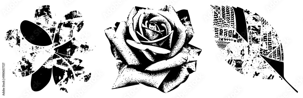 Fototapeta premium Stylized flower designs rendered in halftone, textured petals, and newspaper collage motifs, vector art, black and white, graphic design elements.