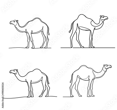 camel vector set line art illustration, isolated on white