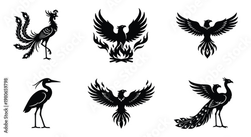 Mythical phoenix and bird silhouettes, 6 black vector icons of firebirds and peacocks, elegant avian heraldry and tribal tattoo graphics