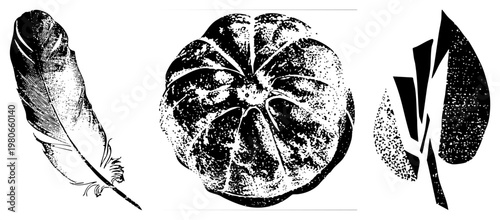 Retro styled feather, pumpkin, and leaf rendered in halftone dot, vector art,, graphic design elements, isolated symbols.