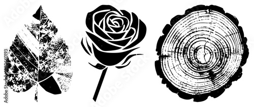 Stylized botanical elements with distressed textures leaf, rose, tree stump section. vector art for design, prints, or branding with rustic aesthetic.