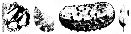 Stylized natural forms including crumpled paper, textured oval, spiderweb, and feather leaf halftone and vector art.