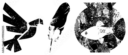 Stylized black vector abstract bird, textured feather, halftone fish in circle. Flat graphic design with distressed texture,, isolated elements for UI or branding.