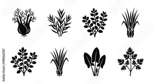Minimalist culinary herbs black silhouette icons, set of 8 organic plant vector elements, botanical garden herb illustrations for kitchen and food packaging