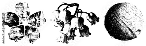 Artistic botanicals including cherry blossom, bellflower cluster, and coconut, rendered in halftone texture, ideal for retro design or print.