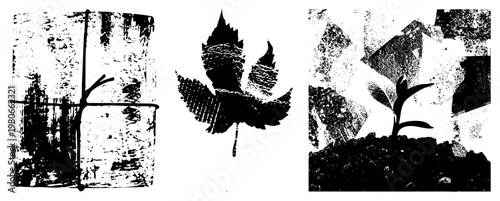Textured black and white vector illustrations of a birch branch, maple leaf, and sprout, styled with halftone grain and distressed edges, ideal for eco design or rustic branding.