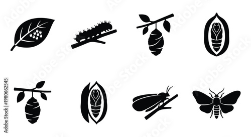 Silhouetted butterfly life cycle icons, 8 black vector elements showing metamorphosis stages, caterpillar and cocoon symbols for biology education