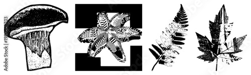 Vintage style botanical illustrations featuring mushroom gills, ornate flower petals, fern fronds, and maple leaf veins, rendered in halftone dot.