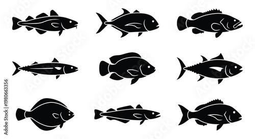 Black fish silhouette icons set, collection of 9 sea fish vector illustrations, minimalist saltwater fish shapes for seafood menus and fishing logos