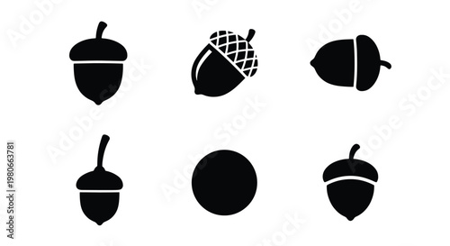 Acorn icon set with 6 black vector silhouettes, oak nut seed collection for autumn design, minimalist forest fruit symbols on white background