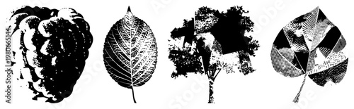 Artistic leaf silhouettes rendered in halftone, glitch, and grunge styles, graphic design elements, botanical motifs, vector illustrations,.
