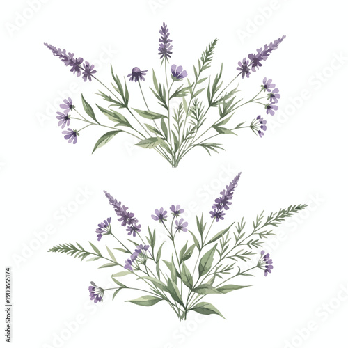 Beautiful Hand Drawn Illustration of Lavender Plant for Nature and Herbal Themes