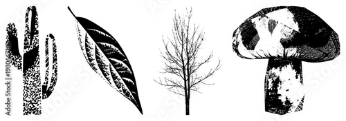 Stylized botanical elements rendered in halftone vector art cactus, leaf, bare tree, mushroom isolated, cutout, rgba.