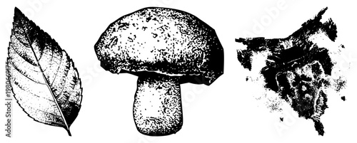 Botanical halftone print featuring leaf veins, textured mushroom cap, and spore cluster, natural science vector graphic, isolated nature elements.