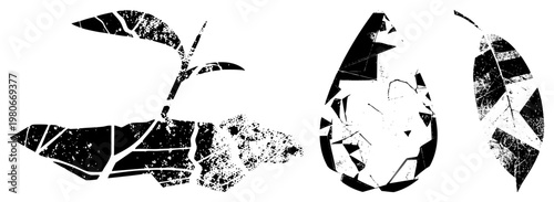 Abstract botanical elements with shattered glass texture, stylized foliage, broken leaf, vector art, nature motifs.