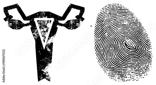 Medical anatomy graphic of uterus and fallopian tubes with distressed texture, paired with detailed fingerprint swirl, vector art for forensic or gynecological contexts.