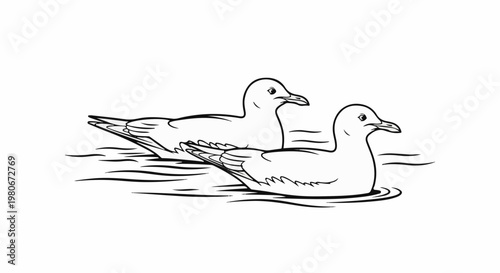 Two seabirds swimming gracefully on gentle water waves