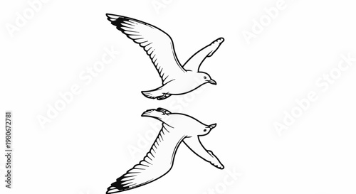 Two seagulls in flight, one above the other, wings outstretched