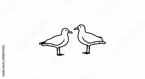 Two simplified line drawings of seagulls facing each other