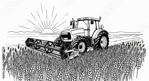 Tractor harvesting wheat in a field at sunrise