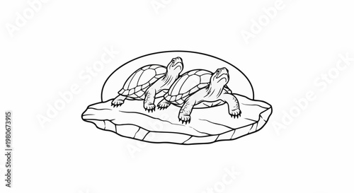 Two turtles resting on a rock, looking upwards