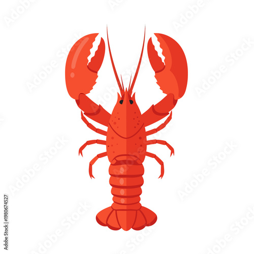 Lobster raising claws on white isolated background
