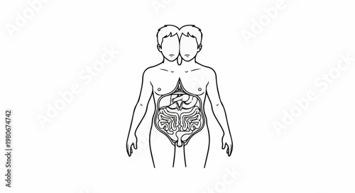 Two-headed figure with internal organs displayed