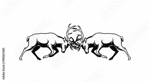 Two deer locked in a head-to-head battle, antlers intertwined