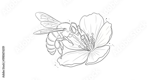 Bee on a flower collecting nectar.