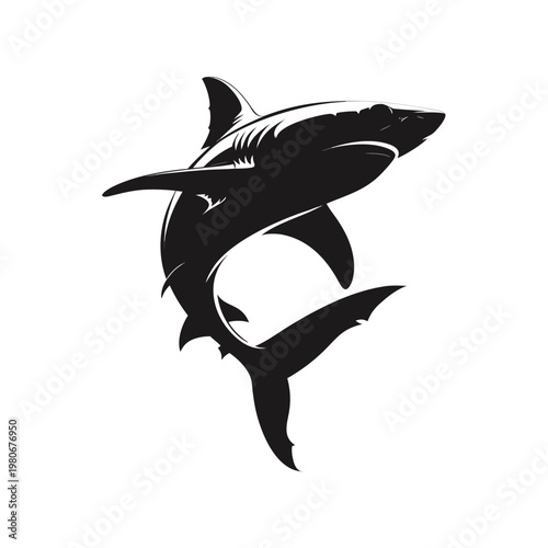 Shark, black shark, shark icon, vector shark, marine animal