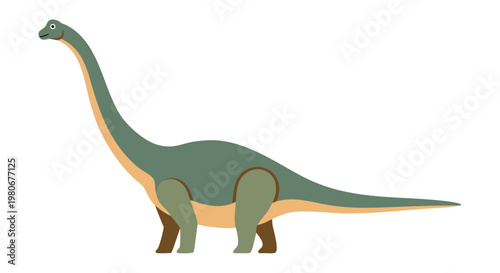 Long neck sauropod standing with tail extended on white background