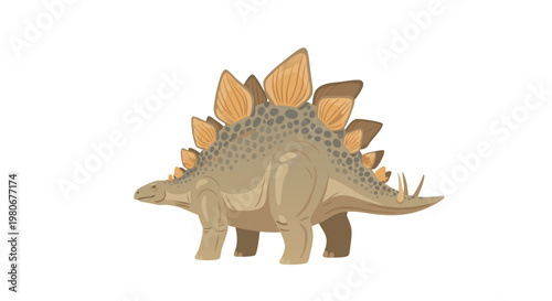 Stegosaurus standing in neutral pose on white background
