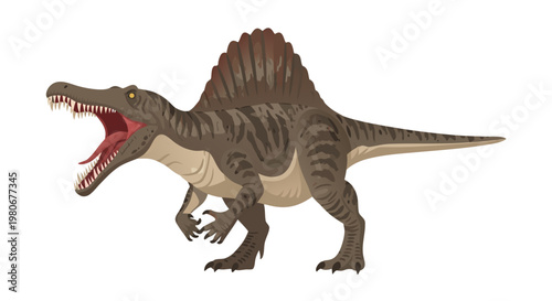Spinosaurus roaring with open jaws on white background