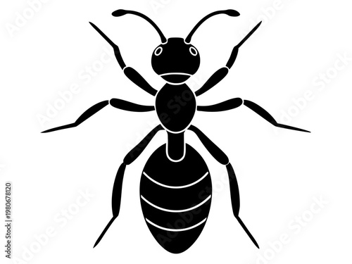 Ant frontal view black silhouette on white background isolated