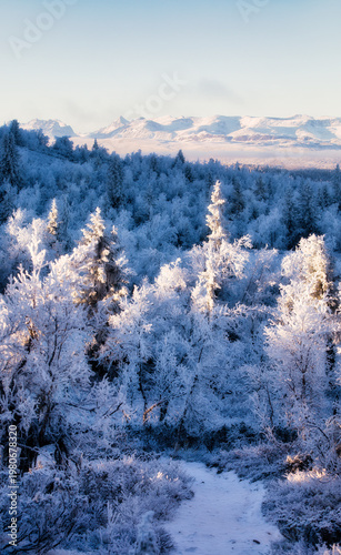 A Cold Day near Alfjell in Vestre Slidre Municipality in Valdres, Norway, with the Mountains in Jotunheimen National Park at a Distance