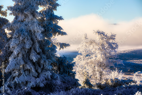 A Cold Day at Late Autumn at Storhovd in Vestre Slidre Municipality, Norway